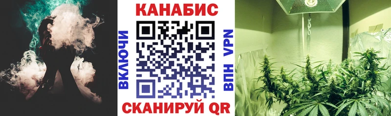 blacksprut сайт  сколько стоит  Стародуб  Шишки марихуана OG Kush 